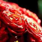 Les Jardins De La Ξενοδοχείο Παρίσι