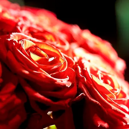 Les Jardins De La Hotel Paris